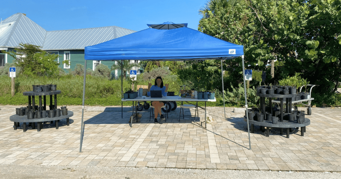 Coastal Watch holds mangrove adoption event News, Sports, Jobs